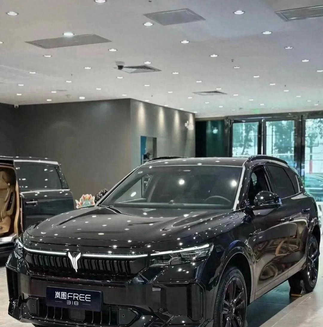東風汽車:智啟新程,領航新能源變革新賽道